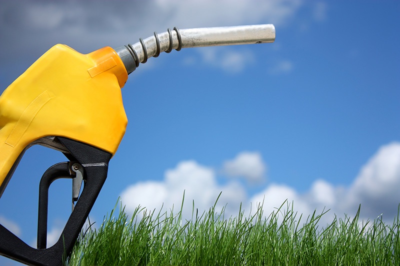Find Out About Alternative "Green" Fuel Options